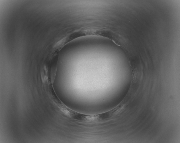 X0000060550335200511031223