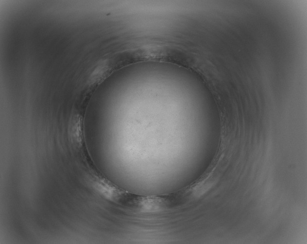 X0000060550336200511031223
