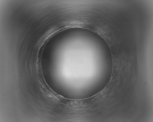 X0000060550338200511031222