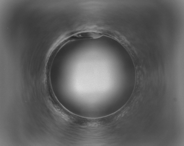 X0000060550344200511031222