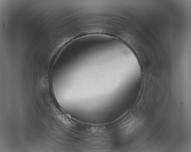 X0000060550345200511031222