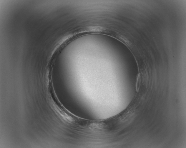 X0000060550350200511031223