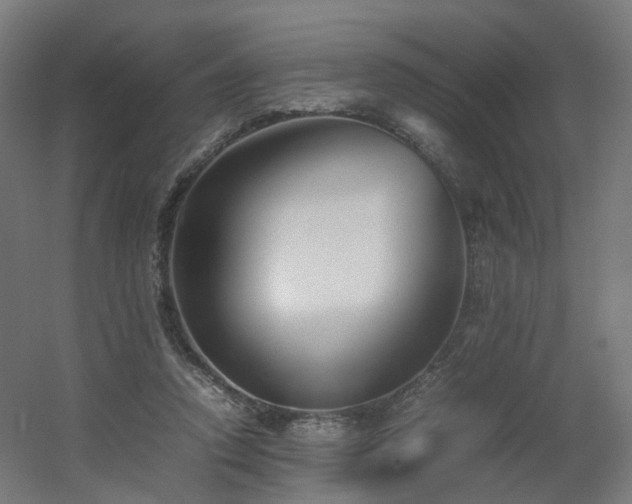 X0000060550354200511031223