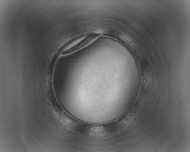 X0000060550355200511031223
