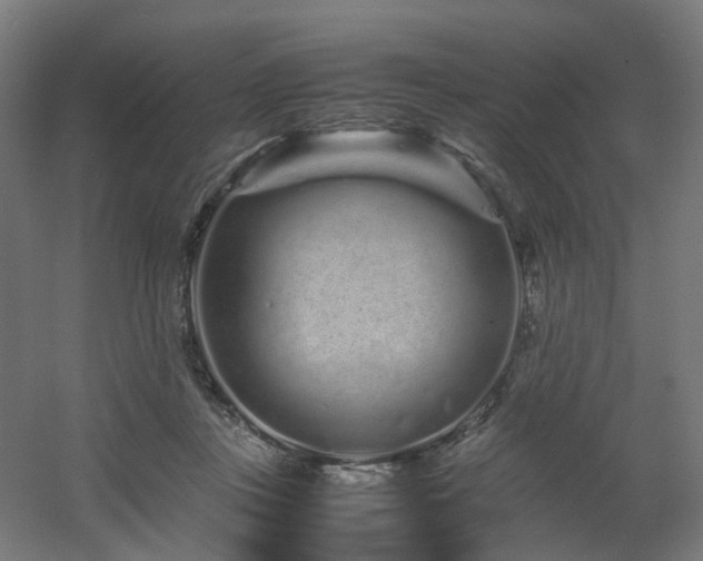 X0000060550359200511031223