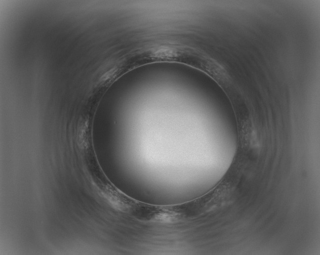 X0000060550364200511031223