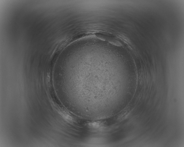 X0000060550365200511031223