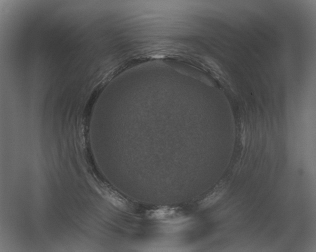 X0000060550366200511031223