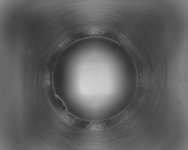 X0000060550368200511031223