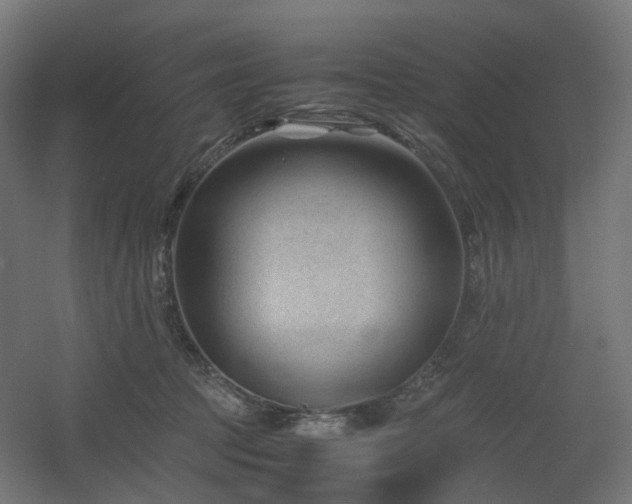 X0000060550369200511031223