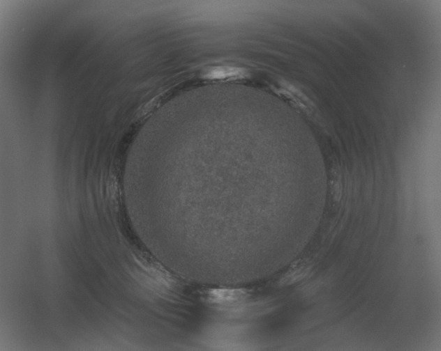 X0000060550371200511031223