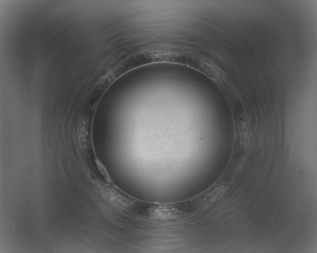 X0000060550372200511031223