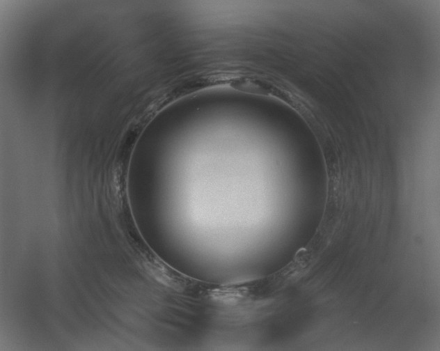 X0000060550373200511031223