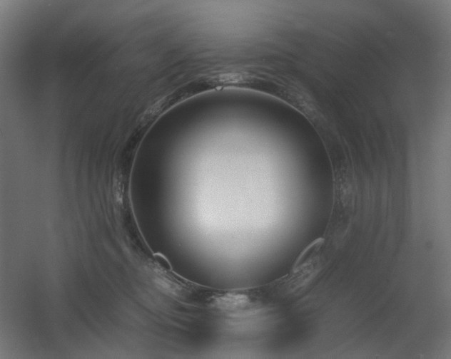 X0000060550374200511031223
