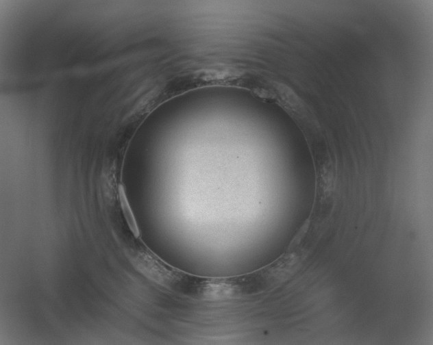 X0000060550376200511031223