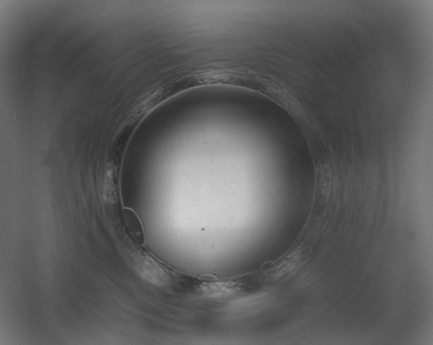 X0000060550378200511031223