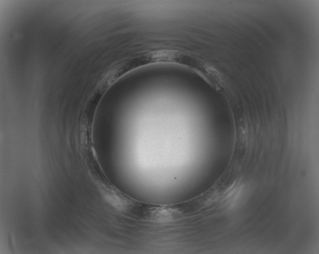 X0000060550379200511031223