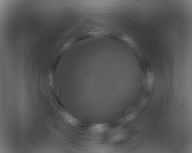 X0000060550382200511031223