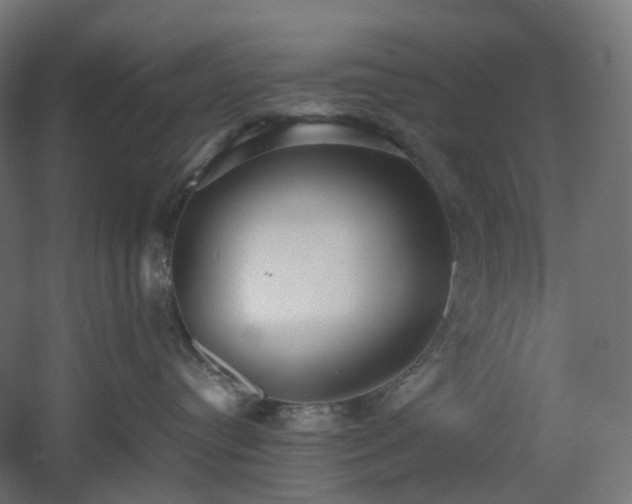 X0000060550384200511031223