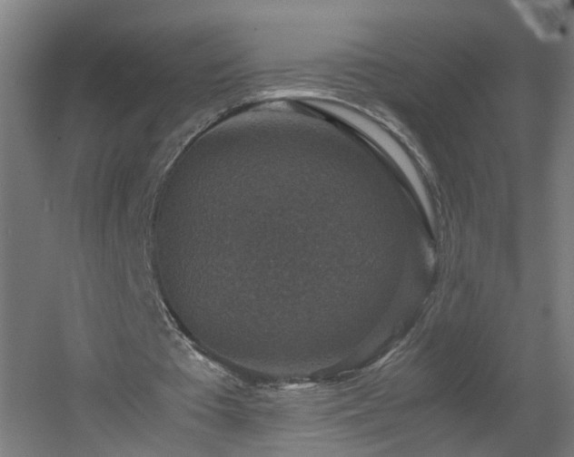 X0000060550385200511031222