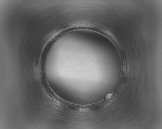 X0000060550388200511031222