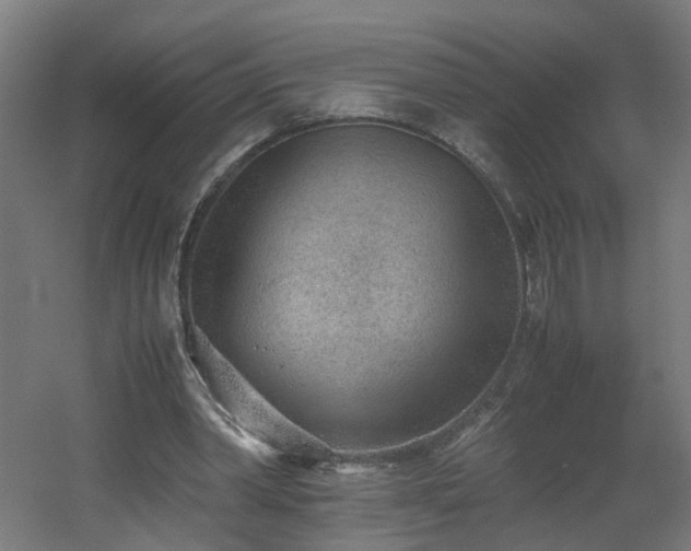 X0000060550390200511031222