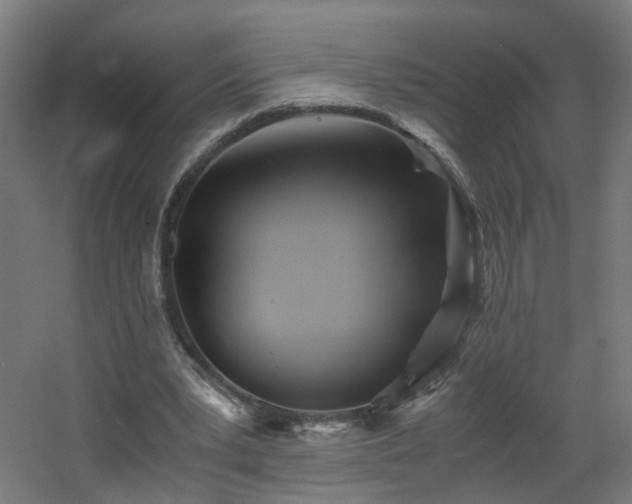 X0000060550391200511031222