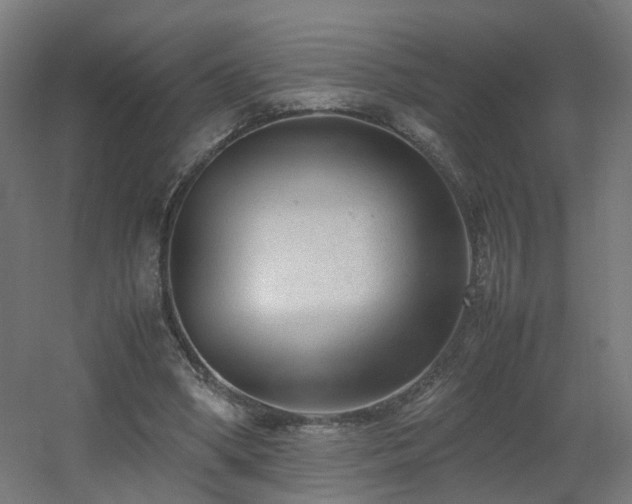 X0000060550394200511031222
