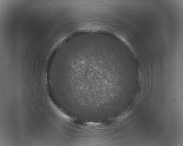 X0000060550399200511031222