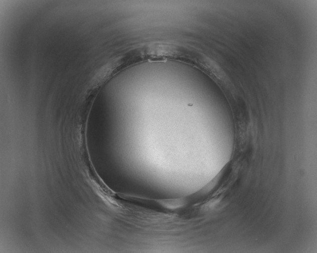 X0000060550401200511031222