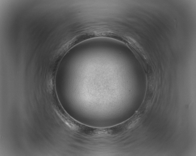 X0000060550405200511031222