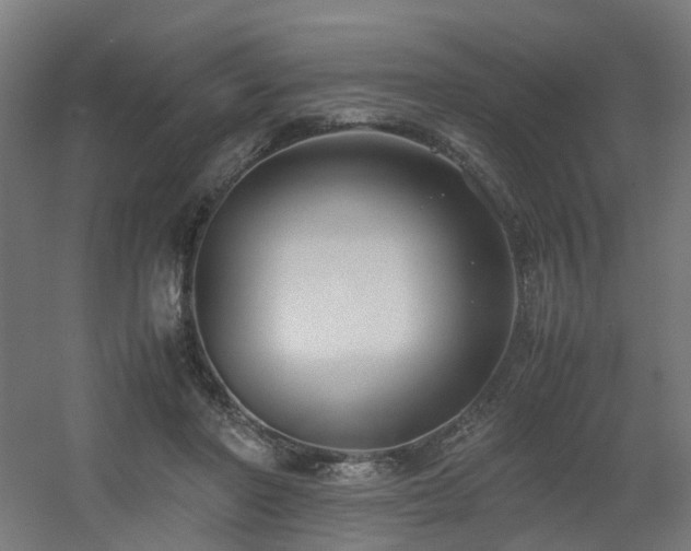 X0000060550406200511031222