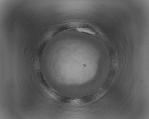 X0000060550411200511031222