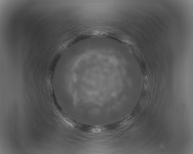 X0000060550415200511031222