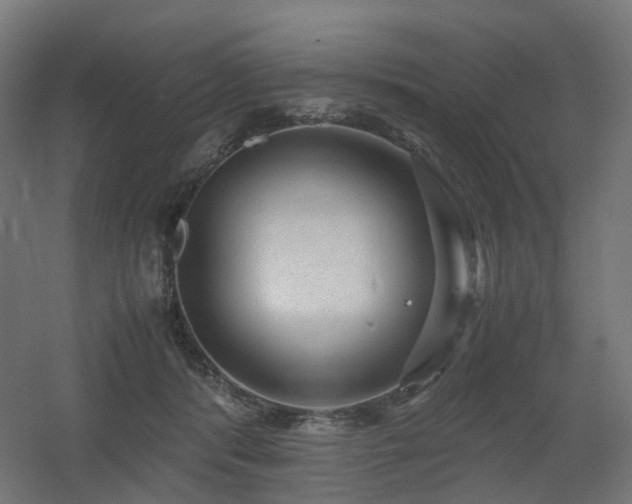 X0000060550416200511031222
