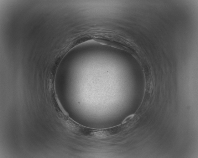 X0000060550417200511031222