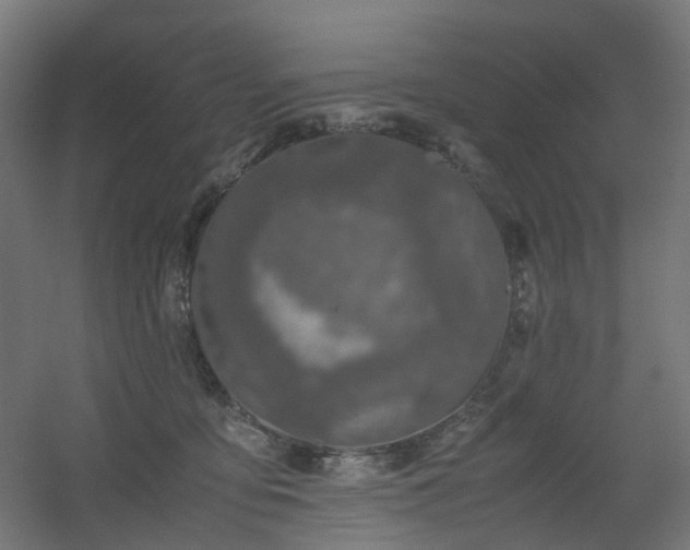 X0000060550419200511031222