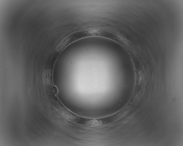 X0000060550421200511031222