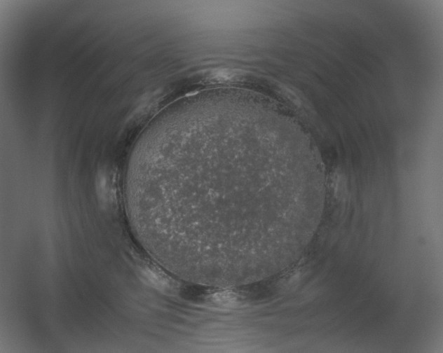X0000060550423200511031222
