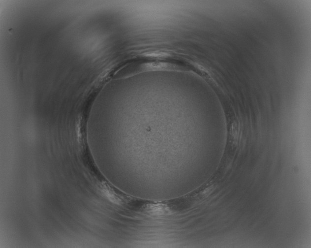 X0000060550424200511031222