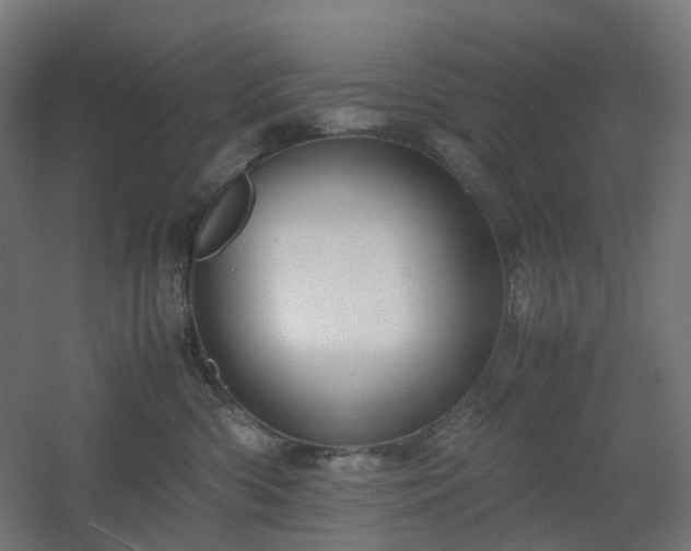 X0000060550426200511031222