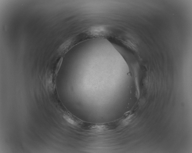 X0000060550428200511031222