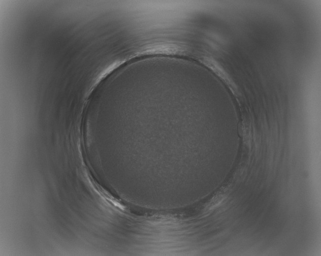 X0000060550434200511031221