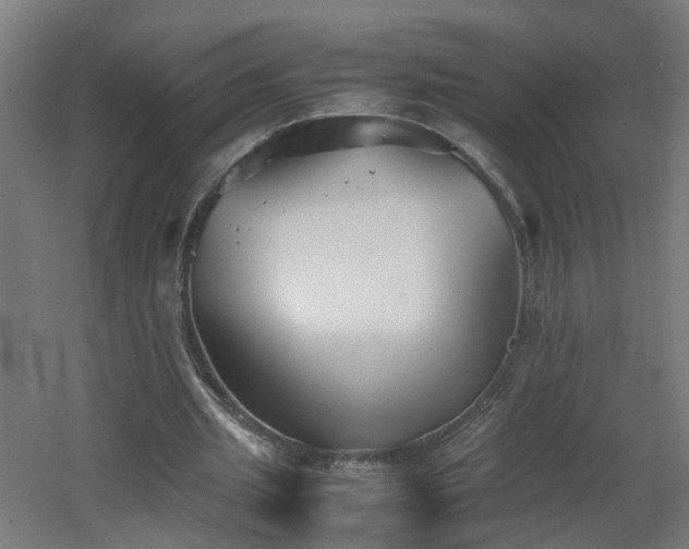 X0000060550437200511031221