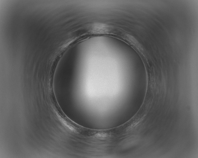X0000060550441200511031221