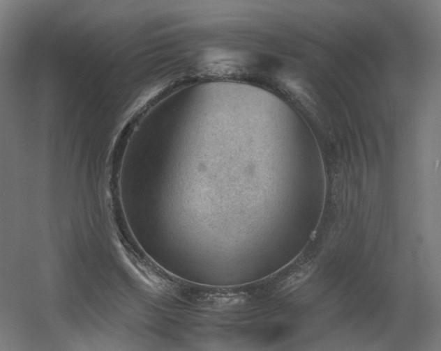 X0000060550443200511031221