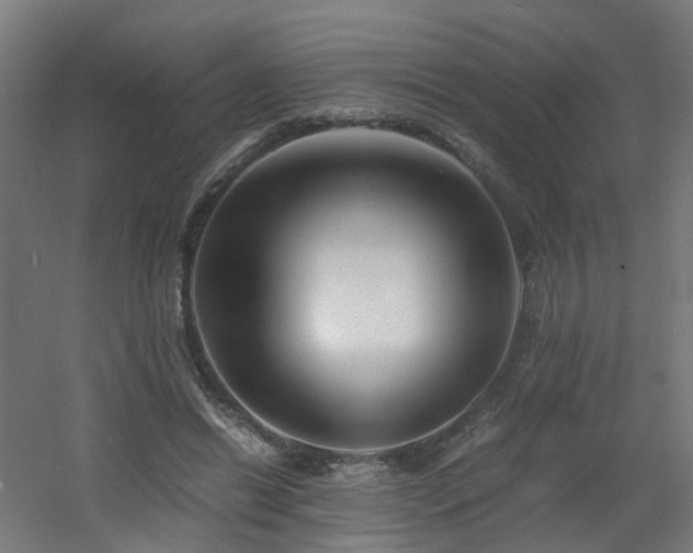 X0000060550446200511031221