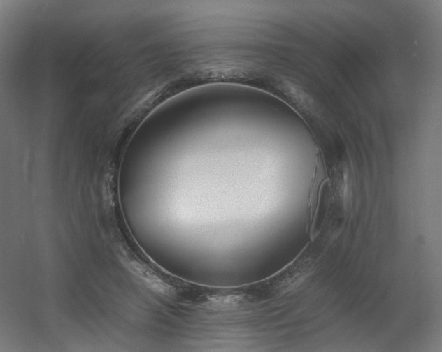 X0000060550450200511031221