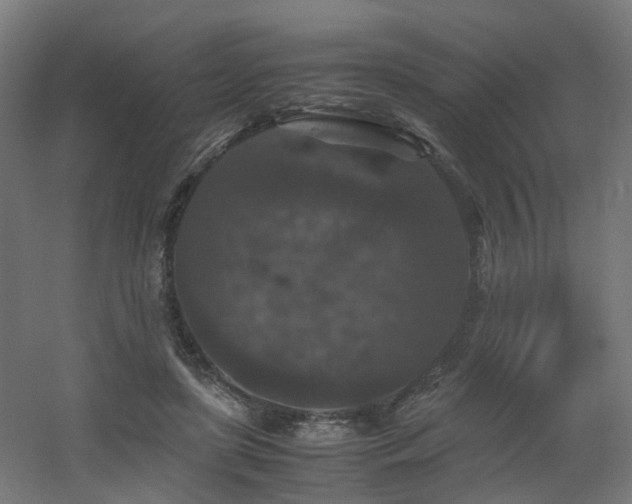 X0000060550451200511031221