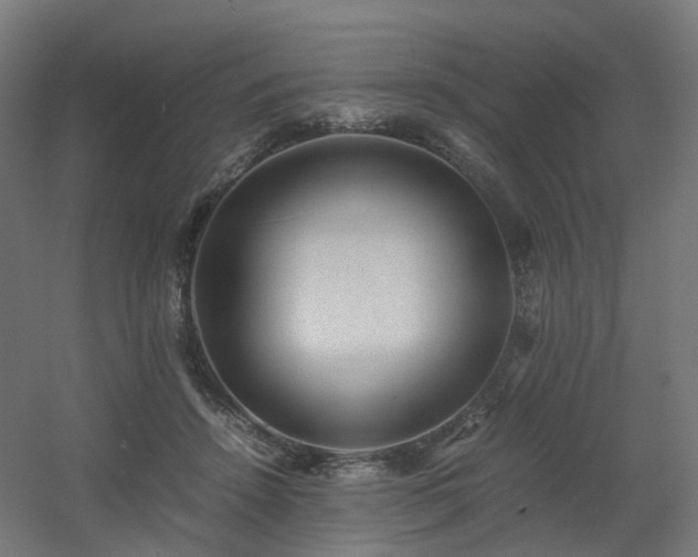 X0000060550456200511031221